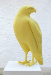 Buteo buteo detail 1, Veronica Wilton